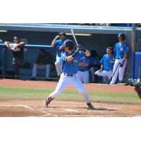 Hudson Valley Renegades at the plate
