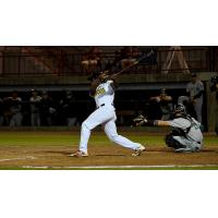 Johan Sala of the Burlington Bees