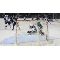 Kelowna Rockets vs. Victoria Royals Preseason Action
