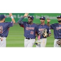 Somerset Patriots utility-player Olmo Rosario