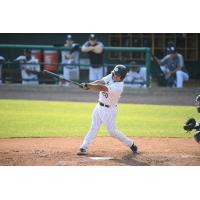 Charleston RiverDogs catcher Eduardo Navas