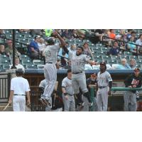 David Washington (left) high fives Hector Sanchez of the Long Island Ducks