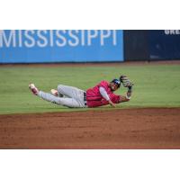 Royce Lewis of the Pensacola Blue Wahoos