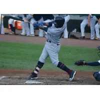 Rey Navarro of the Somerset Patriots