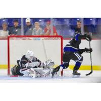 Vancouver Giants goaltender Braedy Euerby faces the Victoria Royals