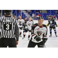 Vancouver Giants centre Tristen Nielsen