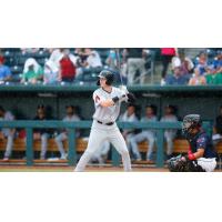 Jackson Generals infielder Pavin Smith