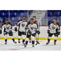 Centre Justin Sourdif and the Vancouver Giants