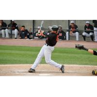 Steve Lombardozzi of the Long Island Ducks