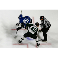 Utah Grizzlies faceoff
