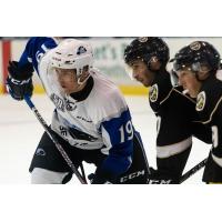 Saint John Sea Dogs take on the Charlottetown Islanders