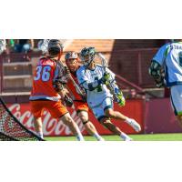 Chesapeake BayHawks vs. the Denver Outlaws