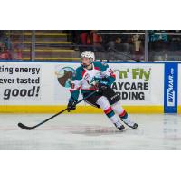 Forward Steel Quiring with the Kelowna Rockets