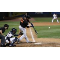 Deibinson Romero of the Long Island Ducks