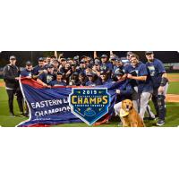 Trenton Thunder celebrate the 2019 Eastern League Championship