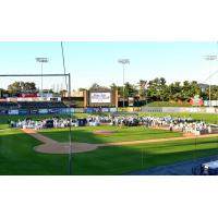 Dinner Under the Stars at America's Classic Ballpark, home of the Reading Fightin Phils