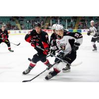 Vancouver Giants right wing Lukas Svejkovsky (right) against the Prince George Cougars