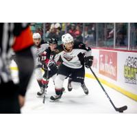 Vancouver Giants defenceman Alex Kannok Leipert vs. the Prince George Cougars