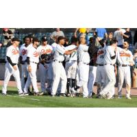 Long Island Ducks celebrate a walk-off win