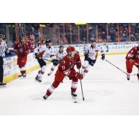 Forward Chase Lang with the Allen Americans