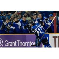 William Villeneuve and the Saint John Sea Dogs