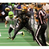 Arizona Rattlers wide receiver Jamal Miles