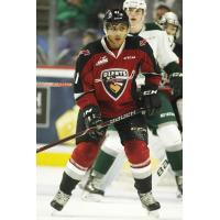 Vancouver Giants defenceman Alex Kannok Leipert