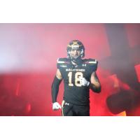 Iowa Barnstormers wide receiver Connor Hollenbeck