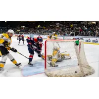 Saginaw Spirit vs. the Sarnia Sting