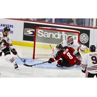Vancouver Giants centre Tristen Nielsen vs. the Portland Winterhawks