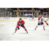 Springfield Thunderbirds forward Anthony Greco