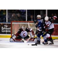 Prince George Cougars goaltender Taylor Gauthier vs. the Victoria Royals