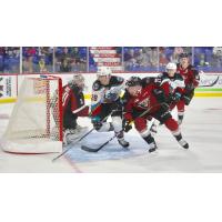 Vancouver Giants defenceman Seth Bafaro battles the Kelowna Rockets