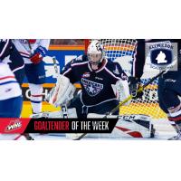 Tri-City Americans goaltender Beck Warm