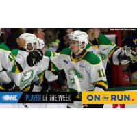 London Knights' Connor McMichael