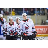 Niagara IceDogs enter the ice