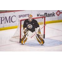 Goaltender Alex D'Orio