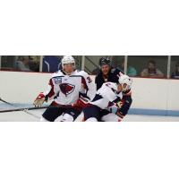 South Carolina Stingrays vs. the Greenville Swamp Rabbits