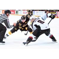 Vancouver Giants forward Tristen Nielsen (right) vs. the Brandon Wheat Kings