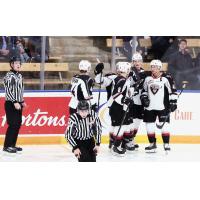Vancouver Giants celebrate a goal against the Winnipeg ICE