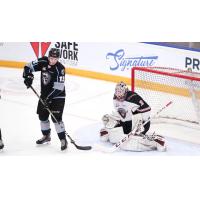Vancouver Giants goaltender David Tendeck against the Winnipeg ICE