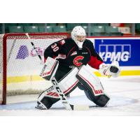 Prince George Cougars goaltender Tyler Brennan