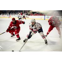Springfield Thunderbirds battle the Charlotte Checkers