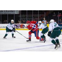 Brandon Reller of the Spokane Chiefs among the Everett Silvertips