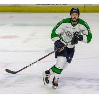 Maine Mariners forward Morgan Adams-Moisan