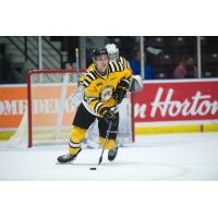 Defenceman Nick Grima with the Sarnia Sting