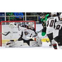 Vancouver Giants goaltender David Tendeck against the Prince Albert Raiders