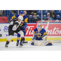 Vancouver Giants left wing Sergei Alkhimov (left) vs. the Saskatoon Blades