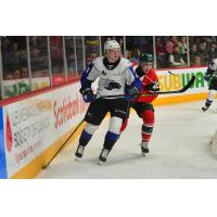 Saint John Sea Dogs defenceman Kale McCallum