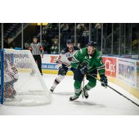 Florida Everblades forward Blake Winiecki vs. the Norfolk Admirals
